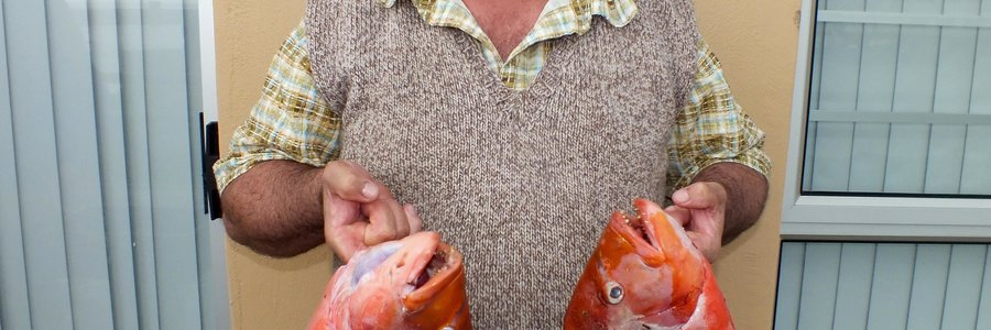 De Wet Giliomee, wat ook die 2de swaarste sak ingepalm het, met sy wenvisse: 2 Rooi Romans van 2.55kg en 2.2kg 